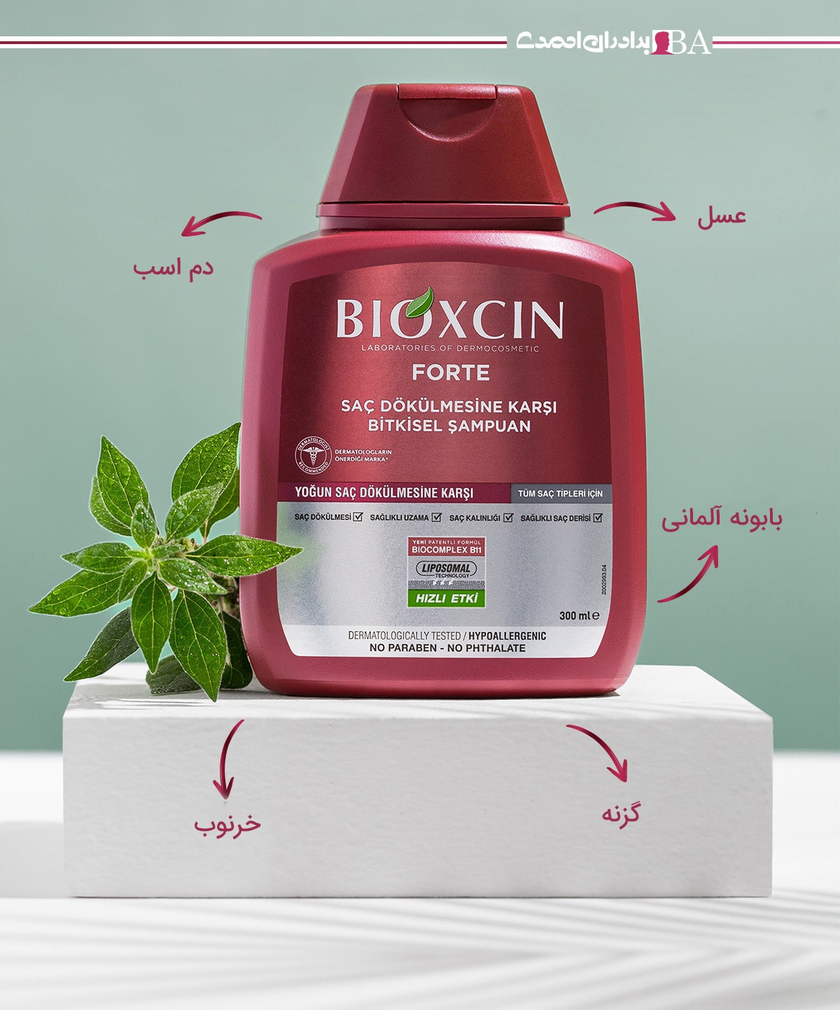 شامپو ضد ریزش موی بیوکسین مدل Bioxcin Forte